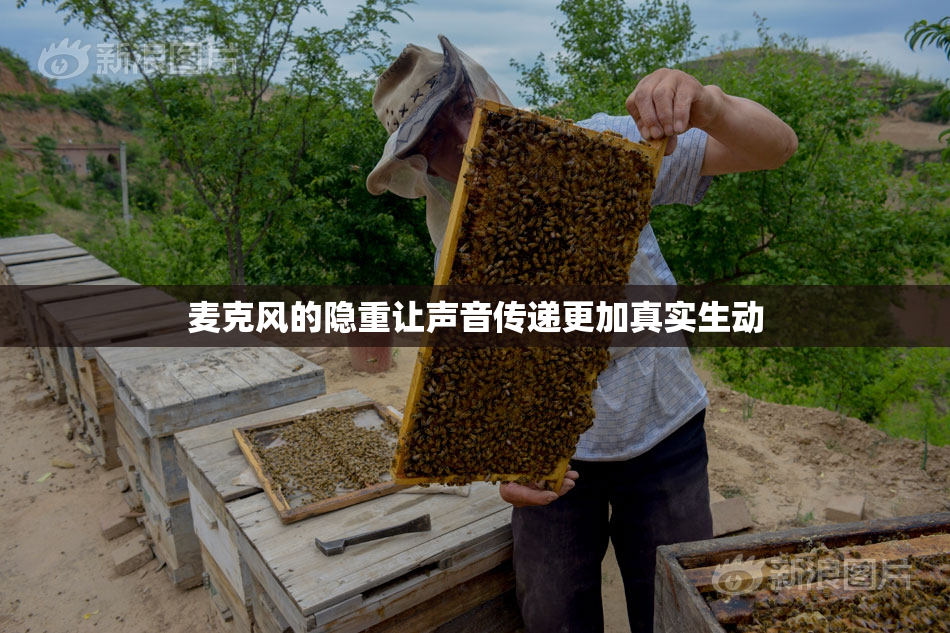 麦克风的隐重让声音传递更加真实生动