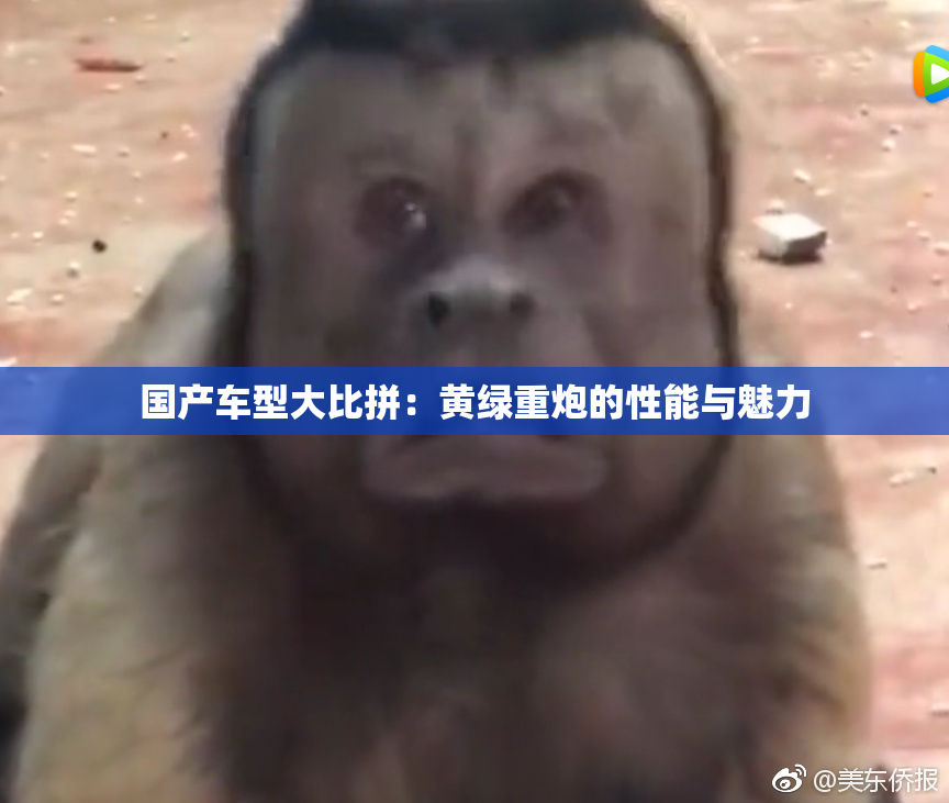 国产车型大比拼：黄绿重炮的性能与魅力