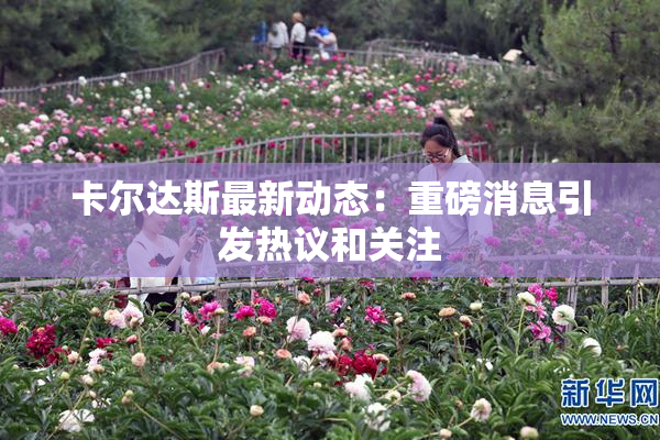 卡尔达斯最新动态：重磅消息引发热议和关注