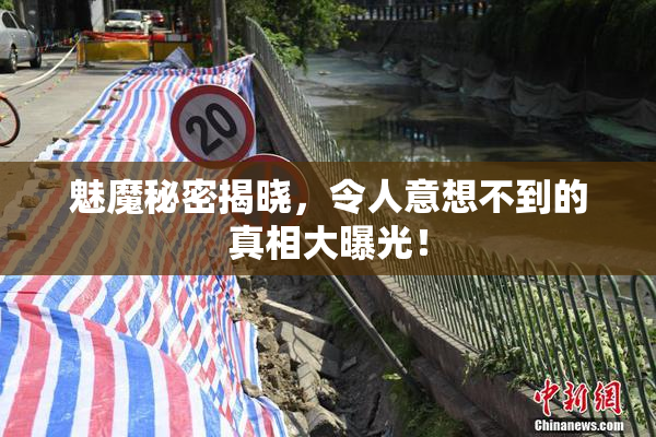 魅魔秘密揭晓，令人意想不到的真相大曝光！