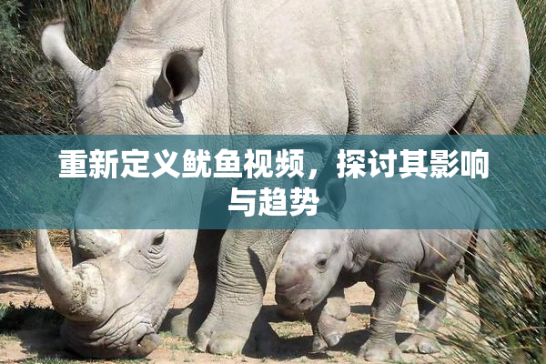 重新定义鱿鱼视频，探讨其影响与趋势