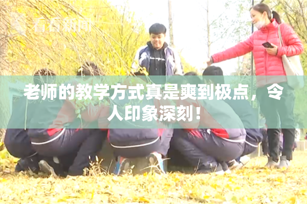 老师的教学方式真是爽到极点，令人印象深刻！