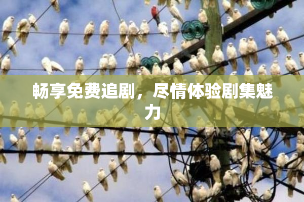 畅享免费追剧，尽情体验剧集魅力