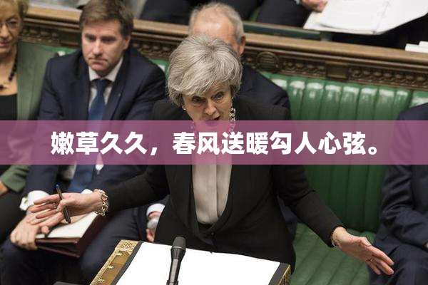 嫩草久久，春风送暖勾人心弦。