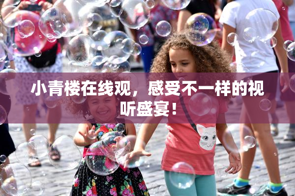 小青楼在线观，感受不一样的视听盛宴！