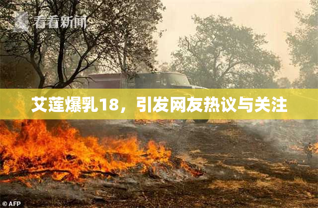 艾莲爆乳18，引发网友热议与关注