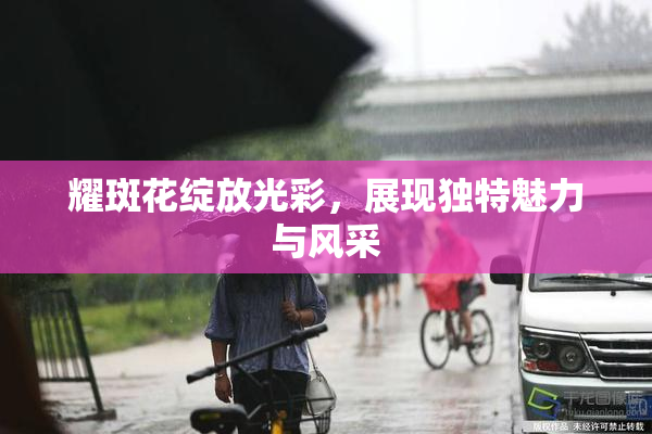 耀斑花绽放光彩，展现独特魅力与风采