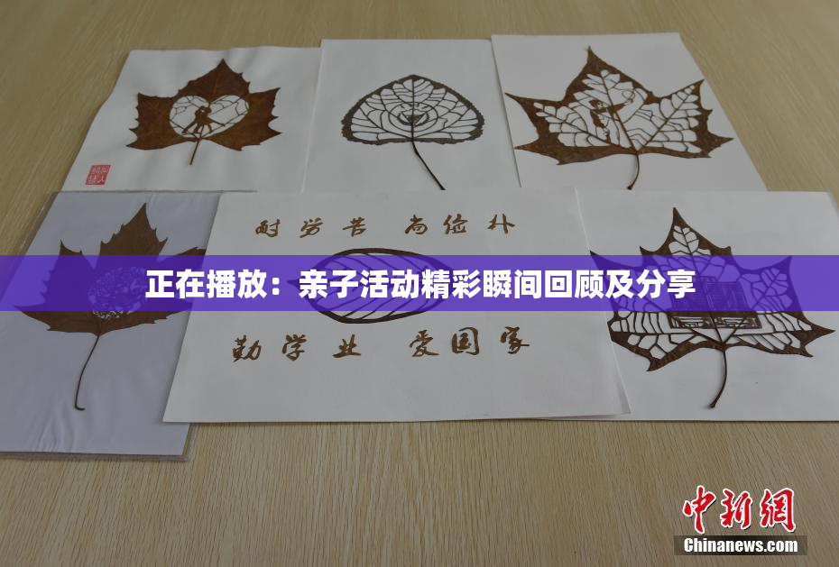 正在播放：亲子活动精彩瞬间回顾及分享