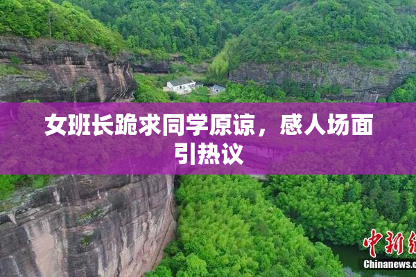 女班长跪求同学原谅，感人场面引热议