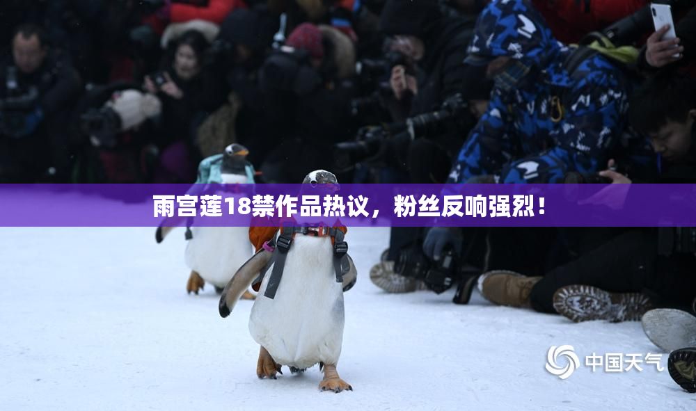 雨宫莲18禁作品热议，粉丝反响强烈！