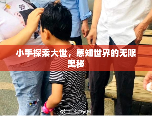 小手探索大世，感知世界的无限奥秘