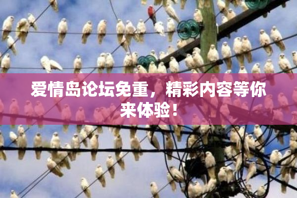 爱情岛论坛免重，精彩内容等你来体验！