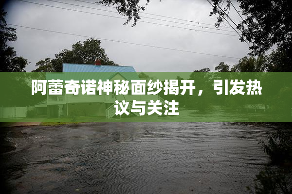 阿蕾奇诺神秘面纱揭开，引发热议与关注