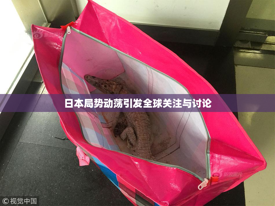 日本局势动荡引发全球关注与讨论