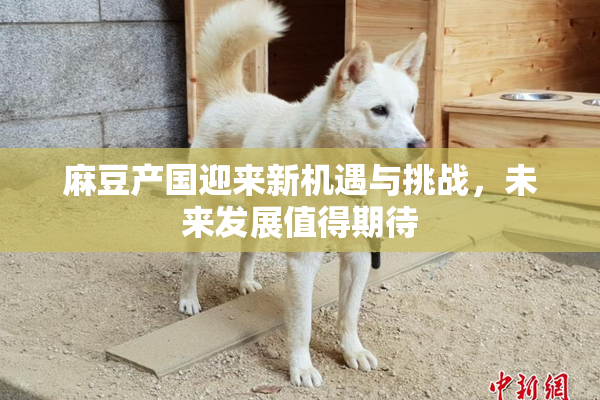 麻豆产国迎来新机遇与挑战，未来发展值得期待