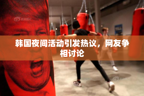 韩国夜间活动引发热议，网友争相讨论