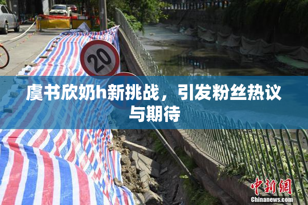 虞书欣奶h新挑战，引发粉丝热议与期待
