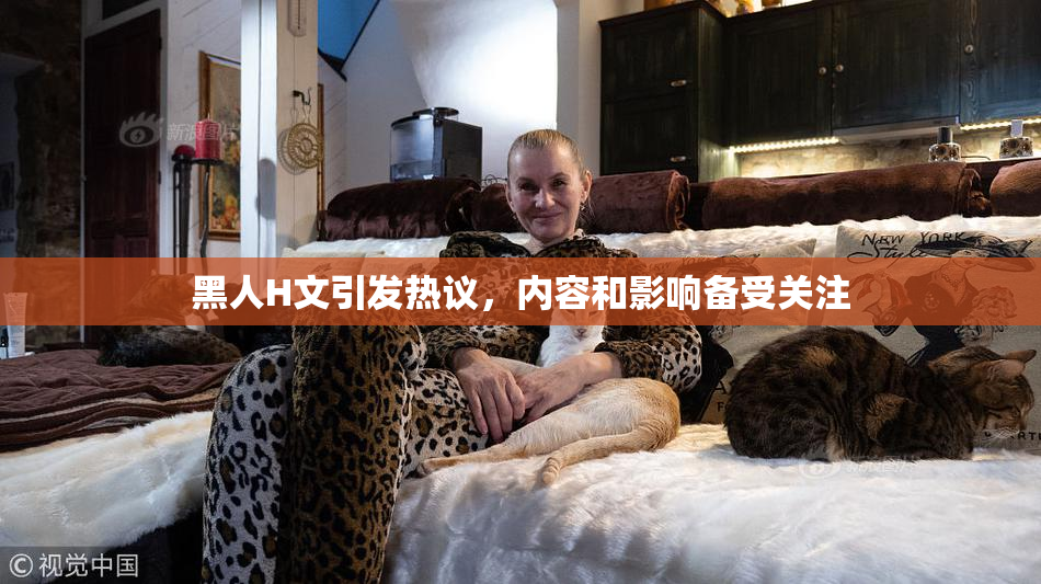黑人H文引发热议，内容和影响备受关注