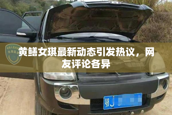 黄鳝女琪最新动态引发热议，网友评论各异