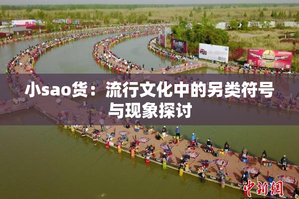 小sao货：流行文化中的另类符号与现象探讨