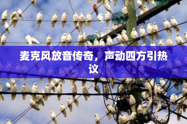 麦克风放音传奇，声动四方引热议
