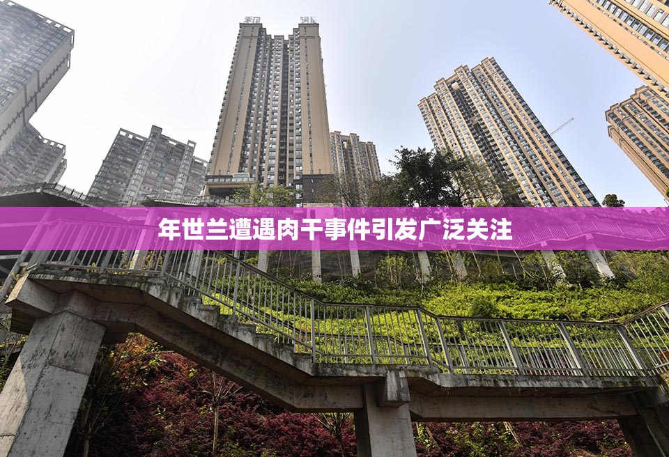 年世兰遭遇肉干事件引发广泛关注