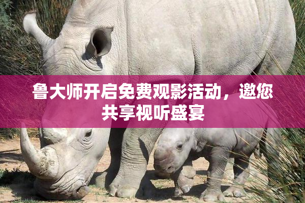 鲁大师开启免费观影活动，邀您共享视听盛宴