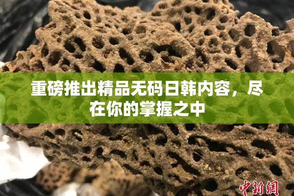 重磅推出精品无码日韩内容，尽在你的掌握之中