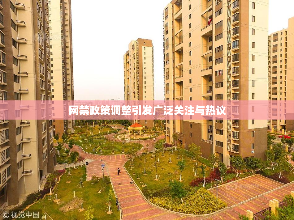 网禁政策调整引发广泛关注与热议