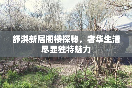 舒淇新居阁楼探秘，奢华生活尽显独特魅力