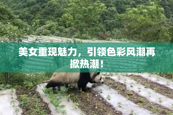 美女重现魅力，引领色彩风潮再掀热潮！