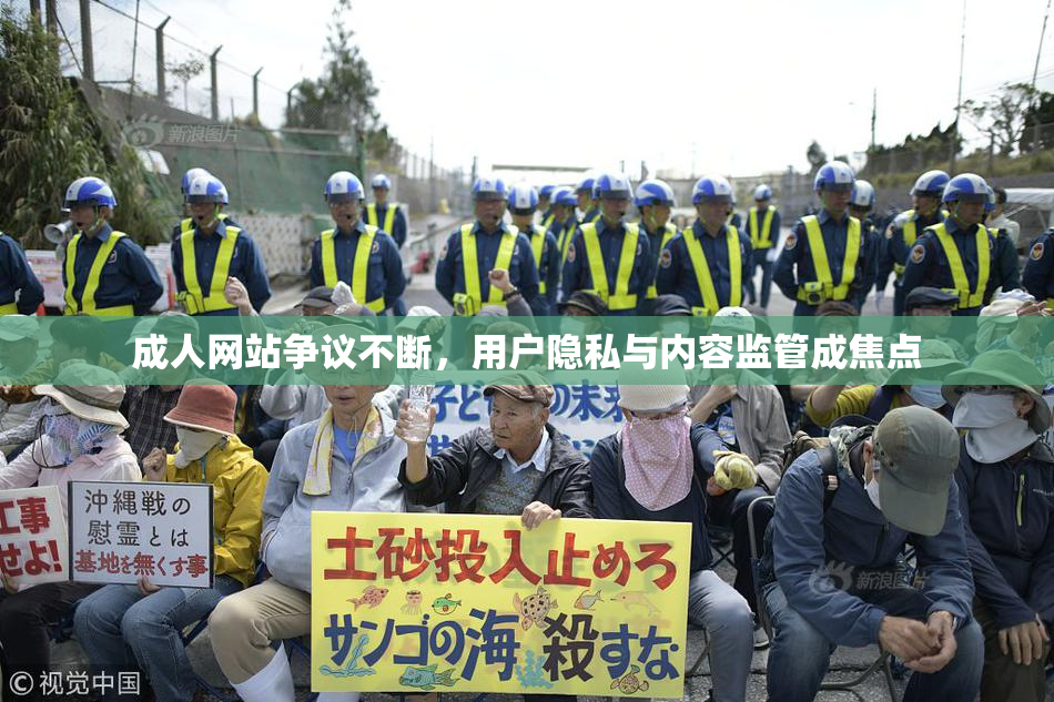 成人网站争议不断，用户隐私与内容监管成焦点