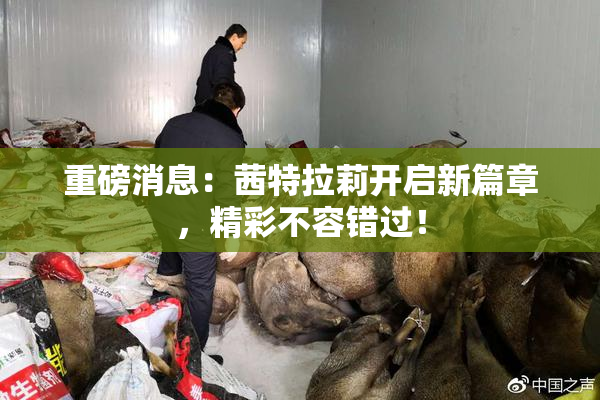 重磅消息：茜特拉莉开启新篇章，精彩不容错过！
