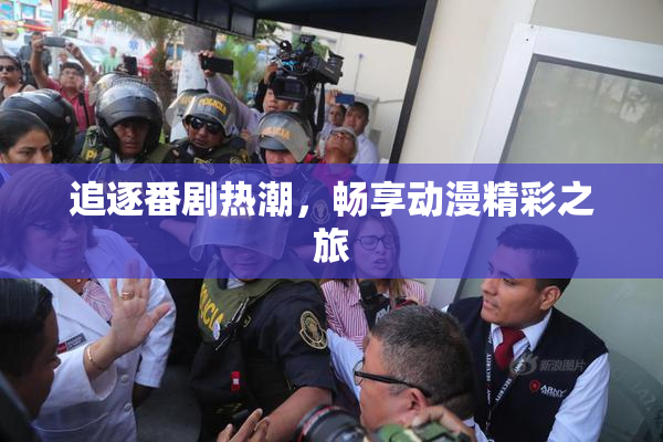 追逐番剧热潮，畅享动漫精彩之旅