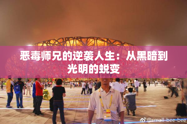 恶毒师兄的逆袭人生：从黑暗到光明的蜕变