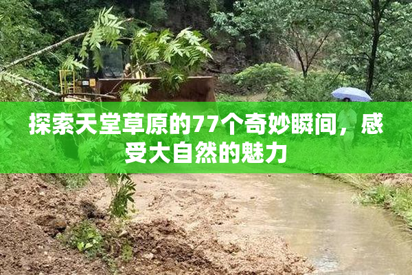 探索天堂草原的77个奇妙瞬间，感受大自然的魅力