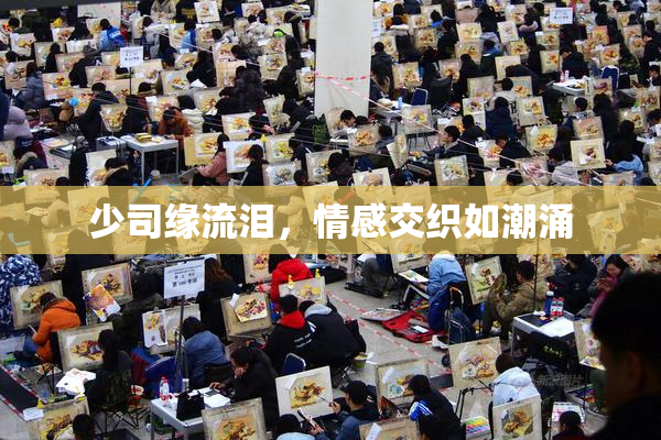 少司缘流泪，情感交织如潮涌