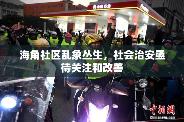 海角社区乱象丛生，社会治安亟待关注和改善