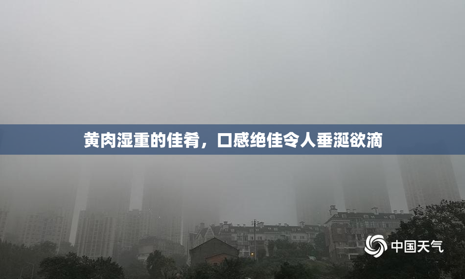 黄肉湿重的佳肴，口感绝佳令人垂涎欲滴