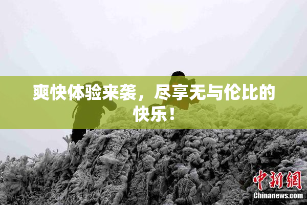 爽快体验来袭，尽享无与伦比的快乐！