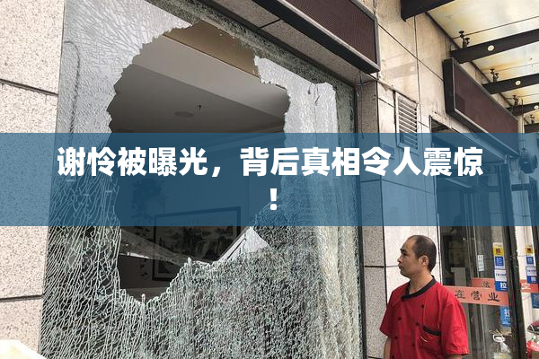 谢怜被曝光，背后真相令人震惊！