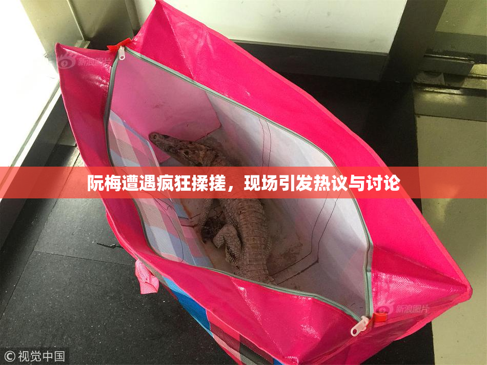 阮梅遭遇疯狂揉搓，现场引发热议与讨论