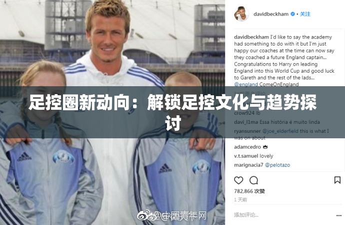 足控圈新动向：解锁足控文化与趋势探讨