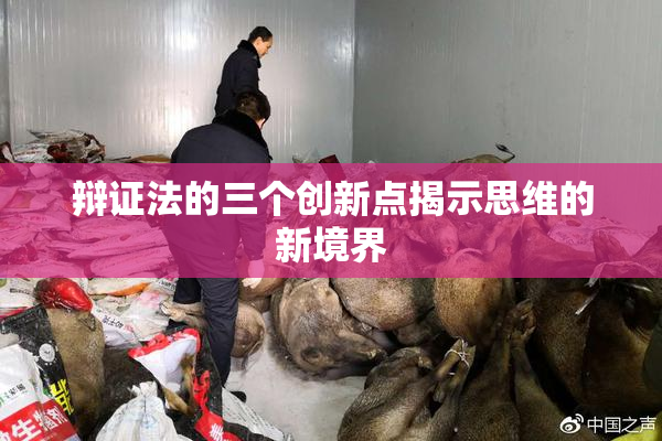 辩证法的三个创新点揭示思维的新境界