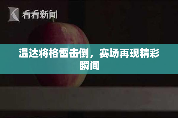 温达将格雷击倒，赛场再现精彩瞬间