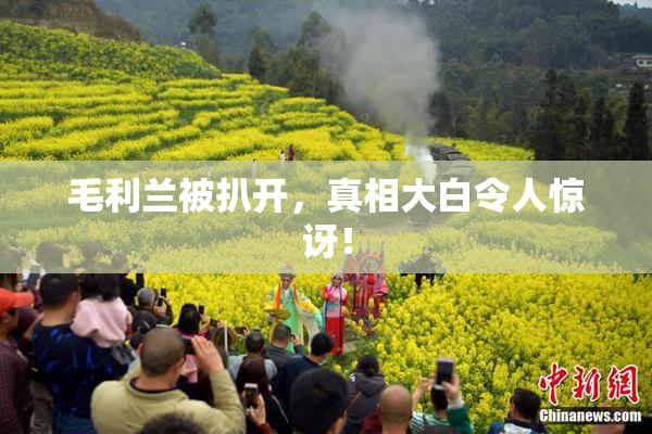 毛利兰被扒开，真相大白令人惊讶！
