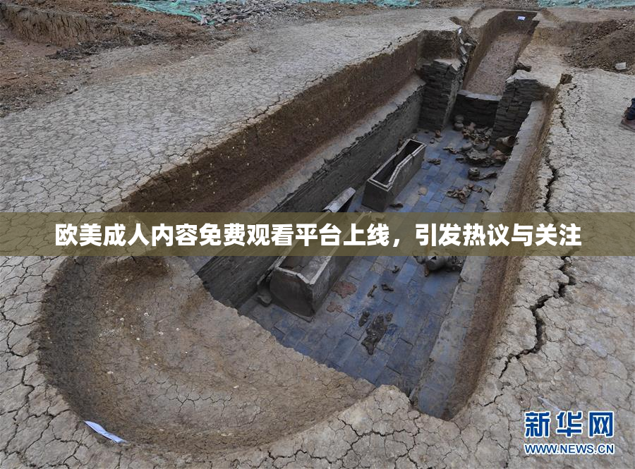 欧美成人内容免费观看平台上线，引发热议与关注