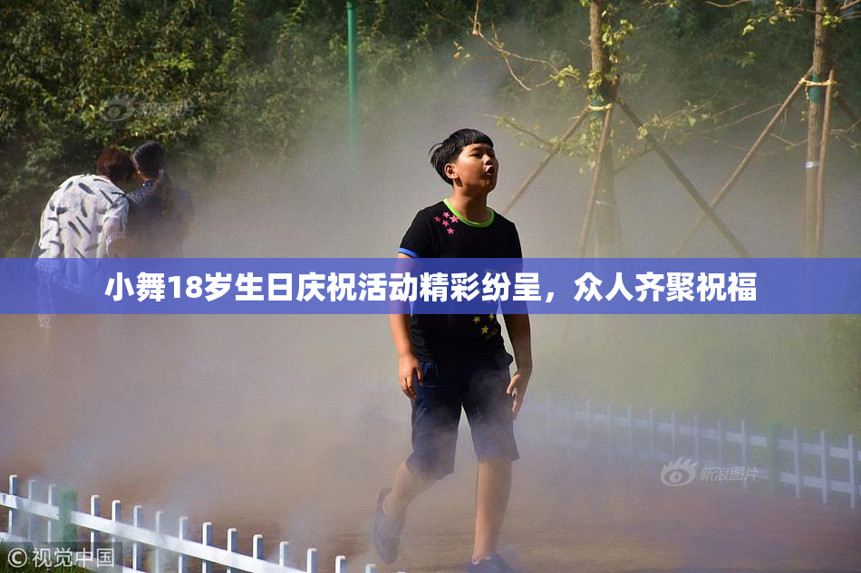 小舞18岁生日庆祝活动精彩纷呈，众人齐聚祝福