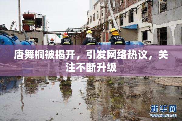 唐舞桐被揭开，引发网络热议，关注不断升级