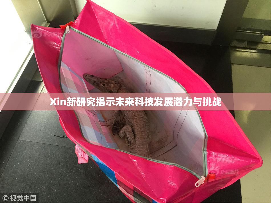 Xin新研究揭示未来科技发展潜力与挑战